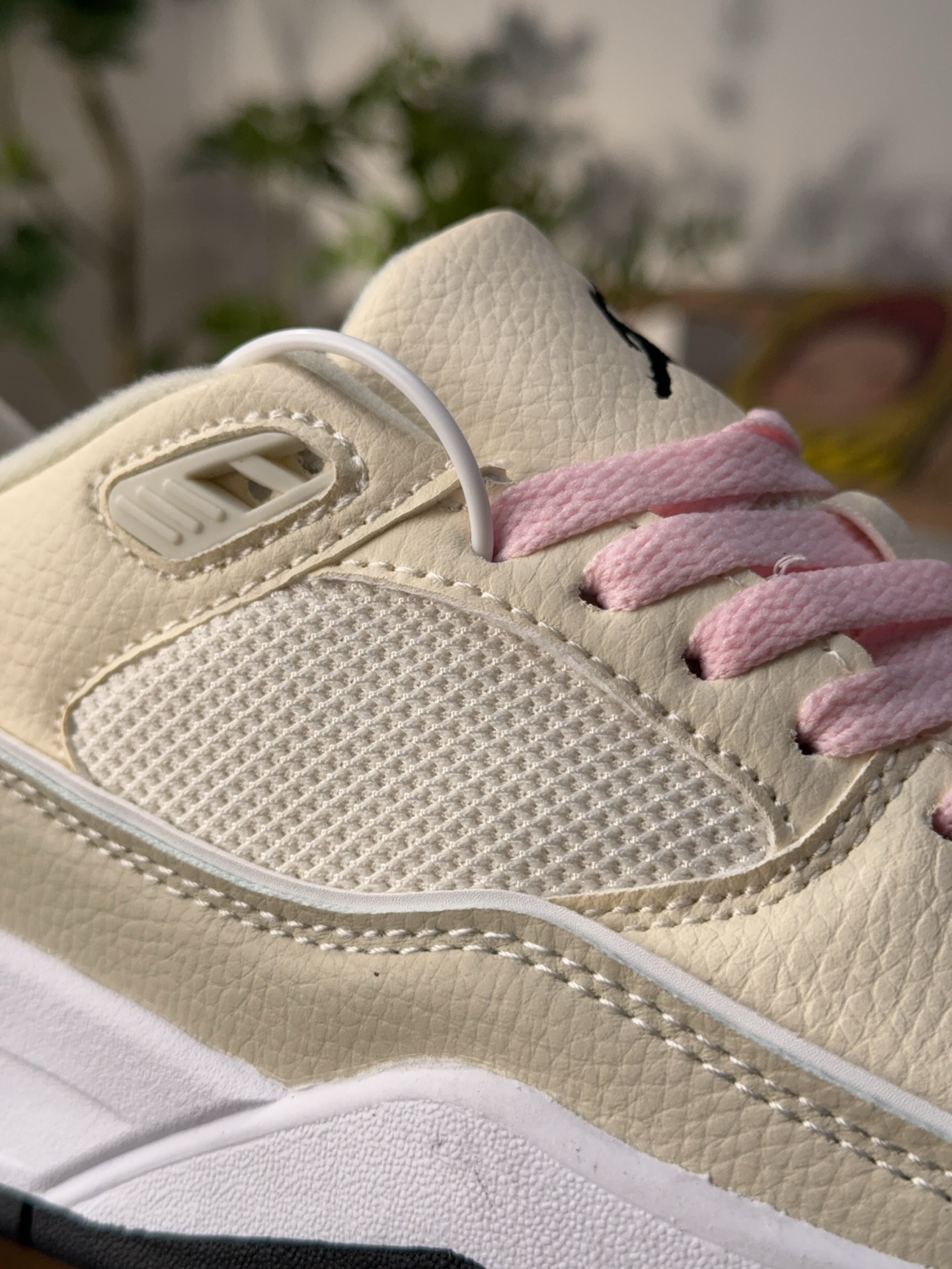 Nike Jordan